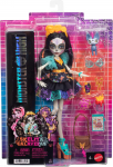 Monster High Core Student Skelita doll (JHK34)