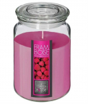 ATMOSPHERA Raspberry scented candle, 510g