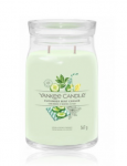 Yankee Candle Cucumber Mint Cooler Scented Candle 567g