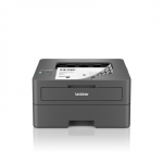 BROTHER HL-L2445DW black/white laser printer