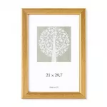Savex Photo frame, plastic, A4, 21x29.7 cm, gold