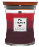 Woodwick Trilogy Sun-Ripened Berries Candle, 275 g