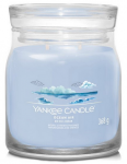Yankee Candle Ocean Air Candle 368 g