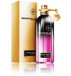 Montale Starry Nights Perfume EDP 100 ml