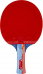 Insportline Table Tennis Paddle inSPORTline Shootfair S5