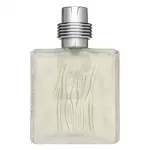 Cerruti 1881 pour Homme Eau de Toilette for men 100 ml