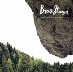 Prta Vtras Skau ierakstu kompnija BRAINSTORM "7 Steps to Fresh Air"