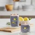 Yankee Candle Signature Medium Candle Black Tea AND Lemon 368 G