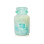 Yankee Candle Soty Candle 623.0g