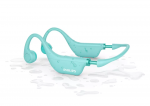 PHILIPS TAK4607GR/00 Wireless Headphones