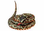 LEAN Toys Plush Brown Snake Mascot 200 cm