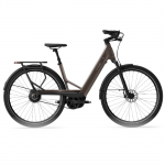 Electric bicycle TENWAYS Ago Performance, 29" Walnut Brown