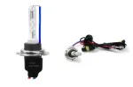 Amio Xenon Bulb Type H7 8000K metal class A