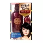 Daeng Gi Meo Ri Shampoo for Oily Scalp 500 Ml