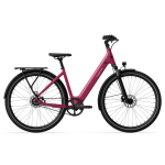 Electric bicycle TENWAYS CGO800S, Wild Berry