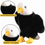 LEAN Toys 7676134 Plush Eagle Bird Plush Toy Mascot Cuddly Toy Black and White