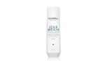 GOLDWELL Dualsenses Scalp Specialist Anti-Dandruff Shampoo 250 ml