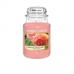 Yankee Candle, Sun-Drenched Apricot Rose, Sun Drenched Apricot, Nectarine Blossom, Scented Candle, 623 g