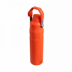 Stanley The Aerolight IceFlow Water Bottle, Fast Flow, 0.6L