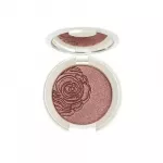 CBN , Source Beaute, Eyeshadow Compact, 49, 3 g