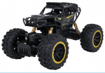 RoGer Climb Power RC Toy Car 1:18