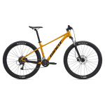 Bicycle GIANT Talon 3, 29" Beeswax (L)