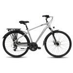 Bicycle ROMET Wagant 2, gray (L)
