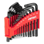 Amio Hex AND Torx keys CRV black 22pcs -04297