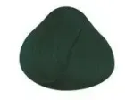 La Rich La Riche Unisex Directions Semi-Permanent Hair Color 88ml Tubs - ALPINE GREEN - One Size