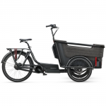 Electric bike BATAVUS Fier 3