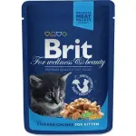 Brit Premium Chicken Chunks Kitten 100 g complete wet food for kittens with chicken