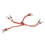 Amio Elastic rope spider 8-arm 30cm 8 mm BSTRAP-01