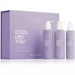 ICONIQUE Professional Cool Like You Set - cool and bright blonde