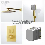 Potinkinis termostatinis du&scaron;o komplektas SlideTronic STEINBERG (Vokietija), Braižytas auksas