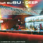 CD Various &ndash; baR suSU &ndash; Deep