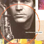 CD David Sanborn - Another Hand