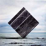 Vinyl (LP) Fink - Perfect Darkness