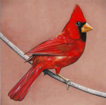 CD Alexisonfire - Old Crows / Young Cardinals