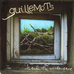 CD Guillemots - Through The Windowpane