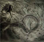 CD Nidsang - Into The Womb Of Dissolving Flames