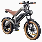 DYU M20 &ndash; Ilgo nuotolio elektrinis dviratis įvairioms vietovėms