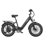 FAFREES F20 Rover didelio pravažumo ir didelio nuotolio elektrinis dviratis