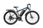 DUOTTS C29-M &ndash; Galingas 750 W elektrinis kalnų dviratis