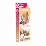 EUGY 3D kartoninis modelis &bdquo;Kačiukas Pumpkin&ldquo;