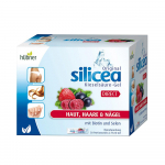 SILICEA Direct su biotinu ir selenu pakeliai N30