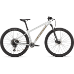 Specialized Rockhopper Expert 29" kalnų dviratis | Silver Dust - Satin Burnt Gold Metallic, XXL