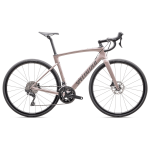 Specialized Roubaix SL8 Sport 105 plento dviratis | Gloss Champagne - Smoke, 58