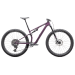 Specialized Epic 8 EVO Expert kalnų dviratis | Gloss Cast Lilac - Dune White, S