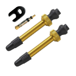 Barbieri Tubeless ventiliai | SV 45 mm | 2 vnt | Gold