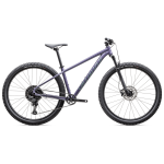 Specialized Rockhopper Comp 29" kalnų dviratis | Mauve Fiery Jade Metallic, XXL